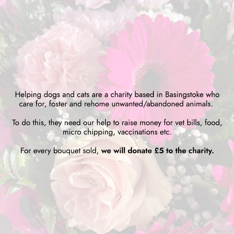 Cats and Dogs Bouquet