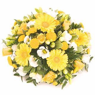 Yellow and White Posy