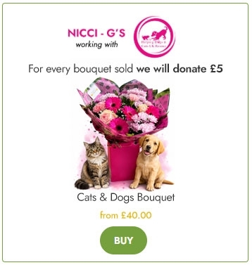 Cats and Dogs Bouquet