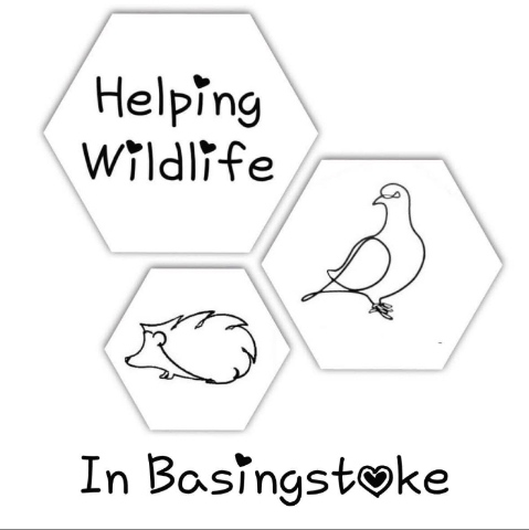 Helping Wildlife charity Bouquet