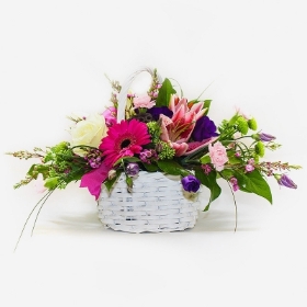 Basket Brights